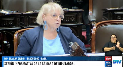 La diputada de Pro Silvana Giudici