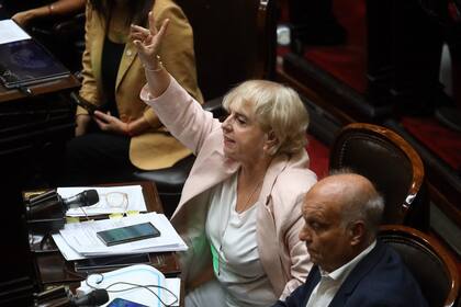 La diputada de Pro Silvana Giudici