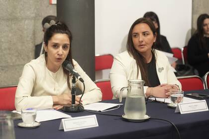La diputada de UP Agustina Propato durante la reunión del Grupo Parlamentario de Amistad. Foto: Diputados