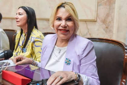 La diputada del Pro por Chaco, María Inés “Marilú” Quiroz