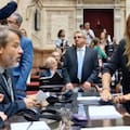 El momento en que la diputada Carignano desenchufa micrófonos para interrumpir la sesión