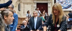 El momento en que la diputada Carignano desenchufa micrófonos para interrumpir la sesión