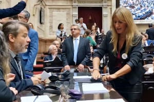 El momento en que la diputada Carignano desenchufa micrófonos para interrumpir la sesión