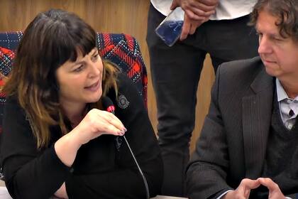 La diputada Gailard en la comisión de Libertad de Expresión de Diputados, junto a Christian Castillo