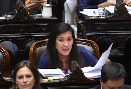 La diputada Laura Rodríguez Machado (LLA Córdoba) tuvo una participación protagónica en la sesión