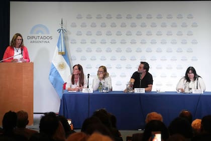 La diputada Marcela Campagnoli, vocal de la Comisión de Salud de la Cámara de Diputados, abrió la jornada