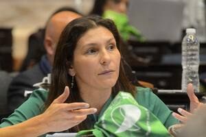 Diputados del FDT presentaron proyecto para repudiar el “violento” desalojo mapuche en Villa Mascardi