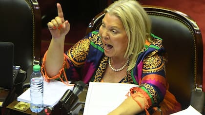 Carrió denunció a ex ministros de Defensa por "asociación ilícita"