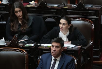 La diputada nacional por el bloque Coherencia, Marcela Pagano