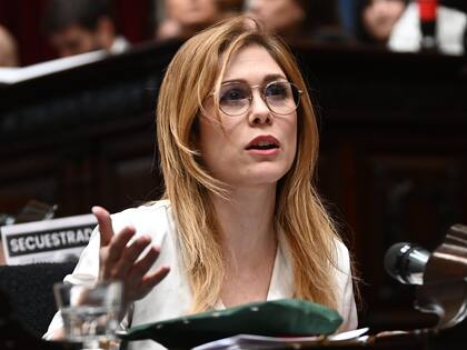 La diputada nacional por La Libertad Avanza (LLA), Lilia Lemoine
