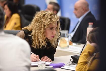 La diputada nacional por Mendoza, Lourdes Arrieta