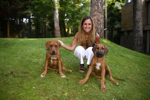 Por qué “volver al pasado” no alcanza, cómo enfrentar a Milei y el debate por una alternativa opositora