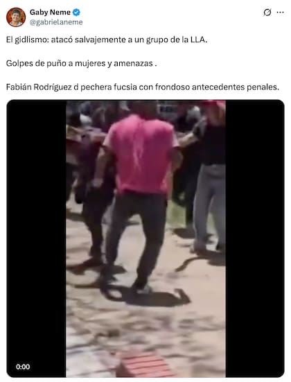 La diputada provincial Gabriela Neme denunció que una mujer de su espacio político resultó herida