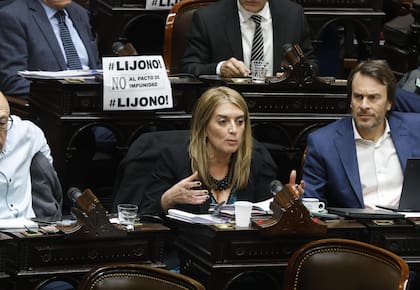 La diputada radical, Danya Tavela, impulsora del proyecto que busca garantizar el financiamiento de las universidades