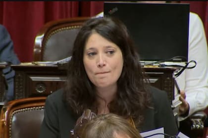 La diputada Sabrina Ajmechet, se retiró en la votación original de la ley universitaria; pero hoy apoyó el veto de Milei