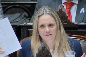 La diputada salteña por La Libertad Avanza María Gabriela Flores