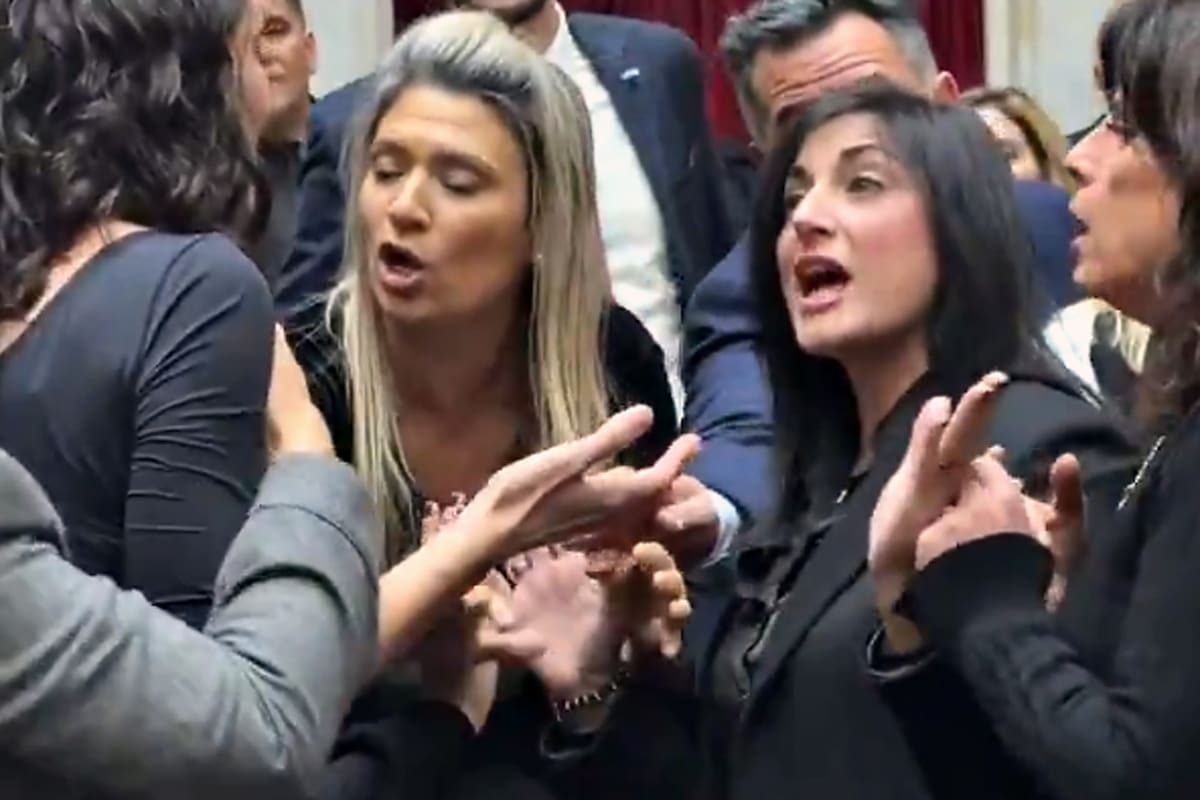 Bochorno en Diputados: se cayó la sesión en medio de gritos e insultos entre el kirchnerismo y La Libertad Avanza