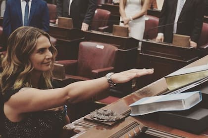 Amalia Granata basó su campaña electoral en oponerse a la ley de legalización del aborto