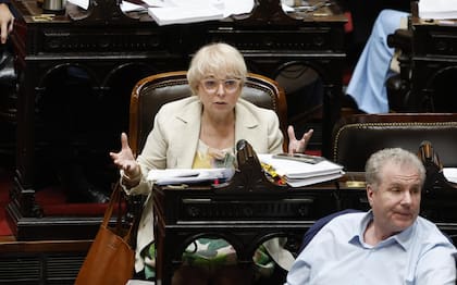 La diputada Silvana Giudici durante la sesión por la ley ómnibus