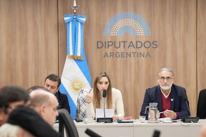 La diputada y economista Julia Strada, junto a Luis Basterra (UxP), los impulsores del debate
