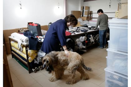 La diseñadora en jefe Silvia Radaelli juega con ''Anubi, un galgo afgano, en la sede de la fábrica Temellini,