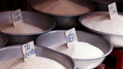 La disminución de la producción de arroz generará hambre, dice un experto