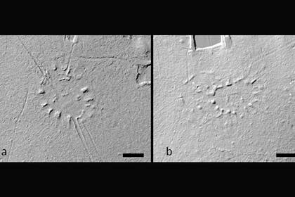 La disposición de las aldeas sugiere que los antiguos habitantes de Acre tenían modelos sociales muy específicos