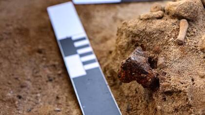 La disposición del cadáver y la presencia de un candado pueden indicar que se temía al difunto y su "actividad" después de la muerte
Foto: Łukasz Czyżewski. Universidad de Nicolás Copérnico en Torun