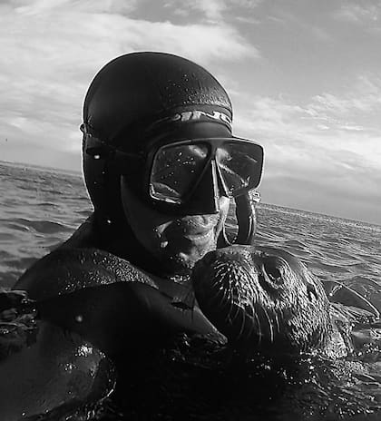 “La distancia entre los buzos y los animales es la que ellos proponen”, indica Natale