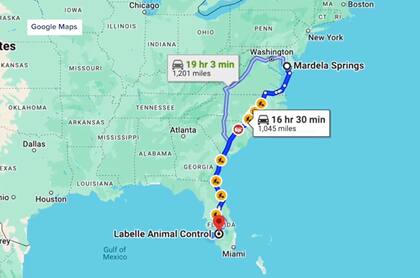 La distancia que recorrió Luna desde su hogar hasta Florida