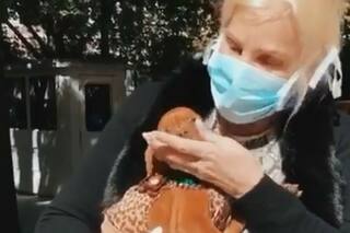 Con barbijo y en cuarentena, Susana le dio la bienvenida a su nueva perrita