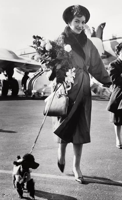 La "Divina", María Callas y su pequeño perro "Toy" en medio de una gira.