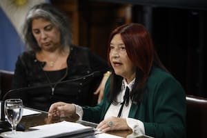 La doctora Figueroa y la Constitución Nacional