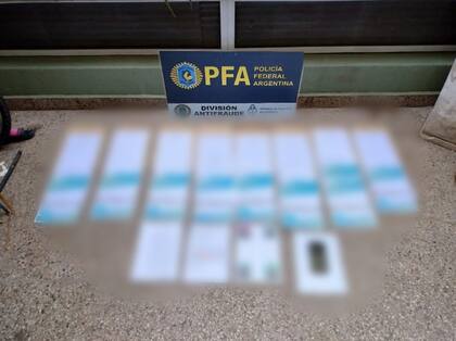 La documentación incautada