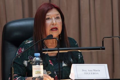 La jueza Ana María Figueroa