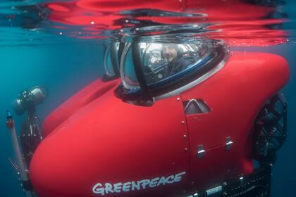 La dra. Susanne Lockhart y el biólogo marino John Hocevar bucearon en un submarino fuera de la isla Kaiser