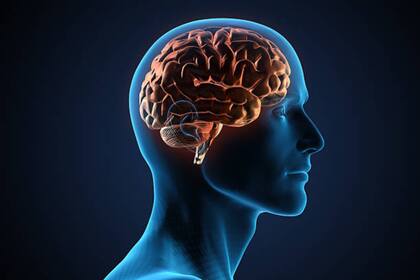 La Dra. Uma Naidoo, psiquiatra funcional y chef profesional, recordó que la alimentación es un factor muy importante en la concentración y el funcionamiento óptimo del cerebro