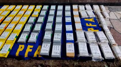 La droga estaba camuflada entre cajones de bananas.