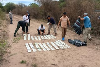 Los carteles de Jalisco y Sinaloa se instalaron en Bolivia para producir cocaína y embarcarla en puertos argentinos