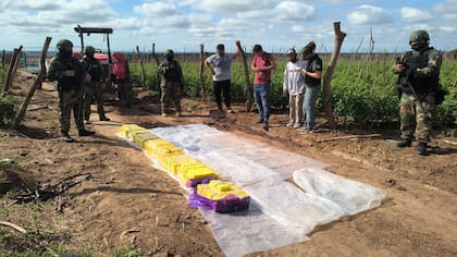 La droga incautada en Colonia Santa Rosa, Salta