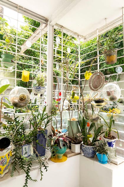 La dueña de casa, apasionada por las plantas, crea macetas de vidrio —ya sean de apoyo o colgantes— adaptadas a cada especie: acuáticas, orquídeas, suculentas, incluso con recipientes que permiten el drenaje del agua.