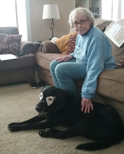 La dueña de Rowdy señaló que su perro y Carter jugaron juntos como si fueran viejos amigos