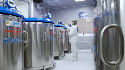 La duración del contrato para ambas empresas será de hasta 14 años