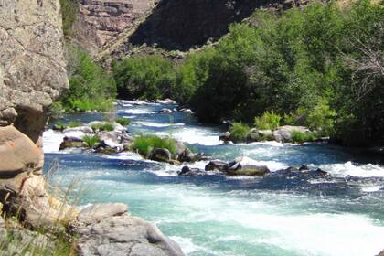 La ecorregión de las Cascadas podría ser la más afectada (Séptima Evaluación Climática de Oregon)