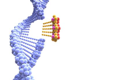 La edición de células somáticas podría curar muchas enfermedades, pero tiene sus riesgos