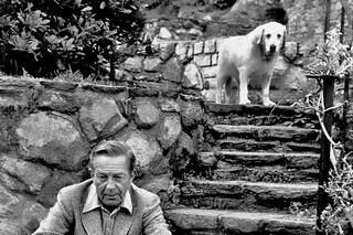 Cheever, el ojo de los suburbios