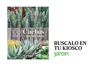 La edición está disponible desde esta semana en kioscos de diarios y revistas de todo el país.