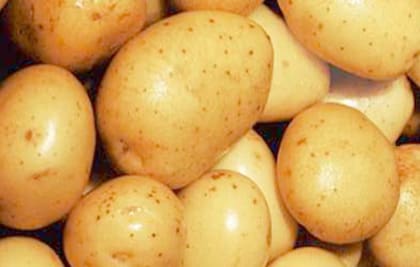 La elección de la papa contribuye al éxito final