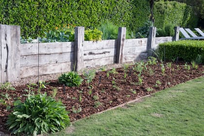 La elección de plantas, su ubicación y su relación con el entorno visual y ecológico son tan importantes como su belleza