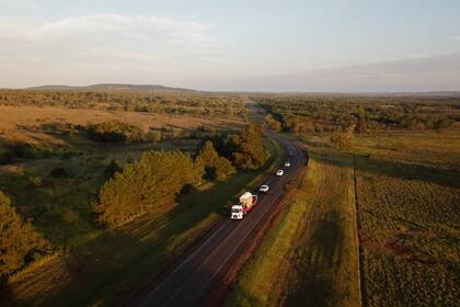 Al finalizar los trámites aduaneros, el equipo de veterinarios y cuidadores se despidieron de Mara y entregaron toda la documentación y monitoreos al equipo del Santuario de Elefantes quienes la acompañarán en adelante en su recorrido por las rutas de Brasil, y en su destino final.